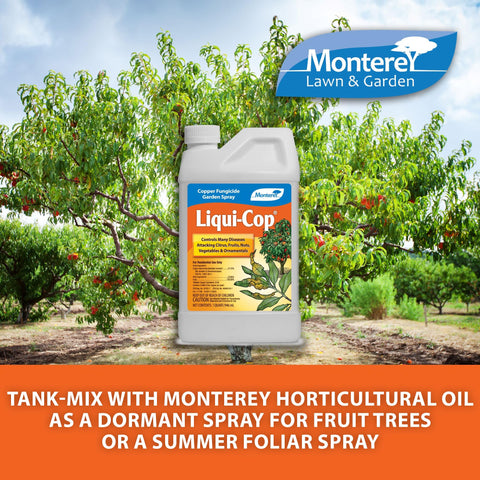 Monterey Copper Fungicide spray on leaves enables preventative protection for plants