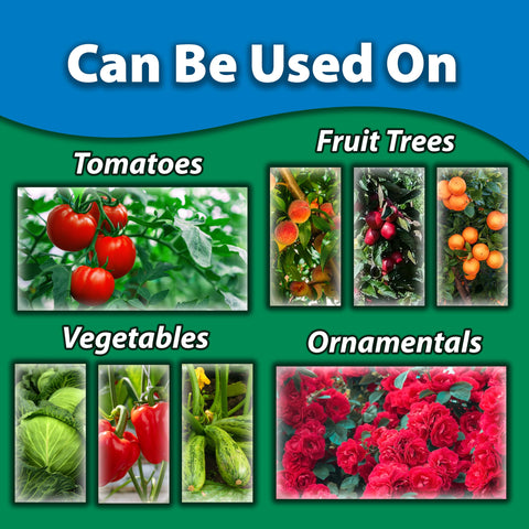 Monterey Copper Fungicide Garden Spray for vegetables and herbs prevents disease.