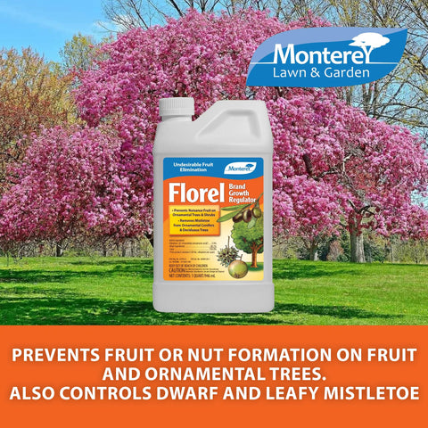 Monterey Florel measuring spoon for accurate, repeatable applications