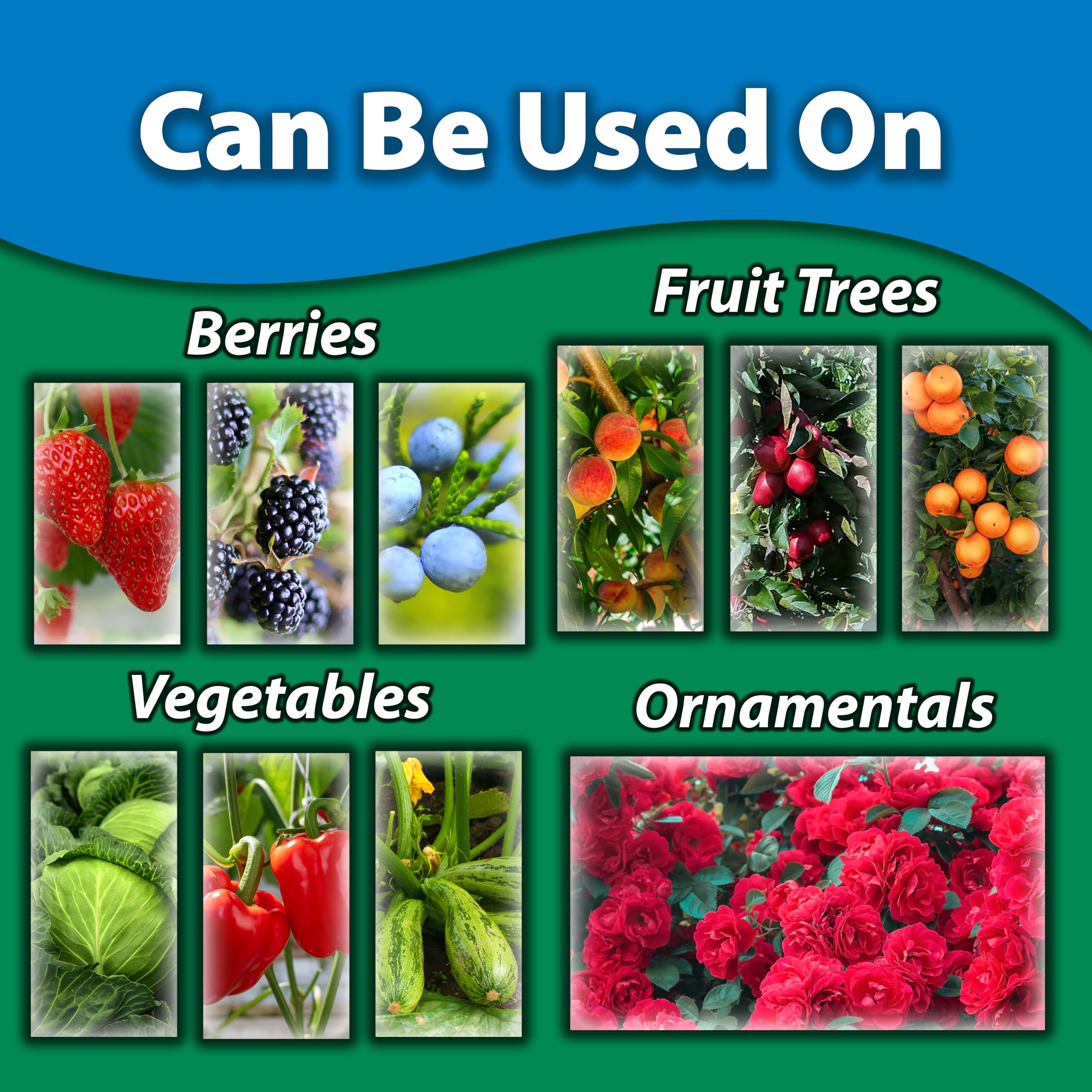 Monterey Fungi-Max spray application on outdoor plants for disease prevention