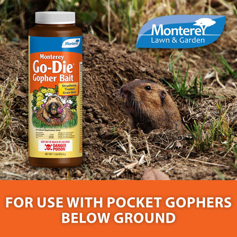 Monterey Go-DIE Gopher Bait buried into the burrow system for underground control.