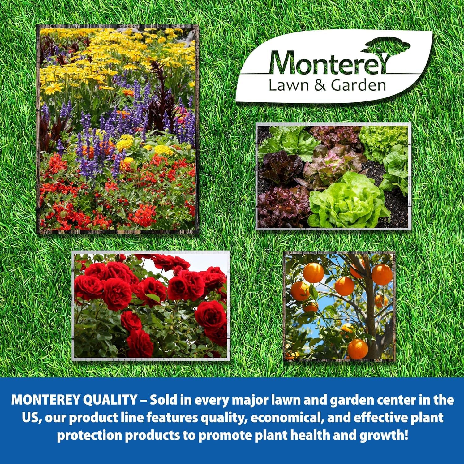 Monterey Horticultural Oil concentrate-32oz highlighting bottle size for multiple uses.