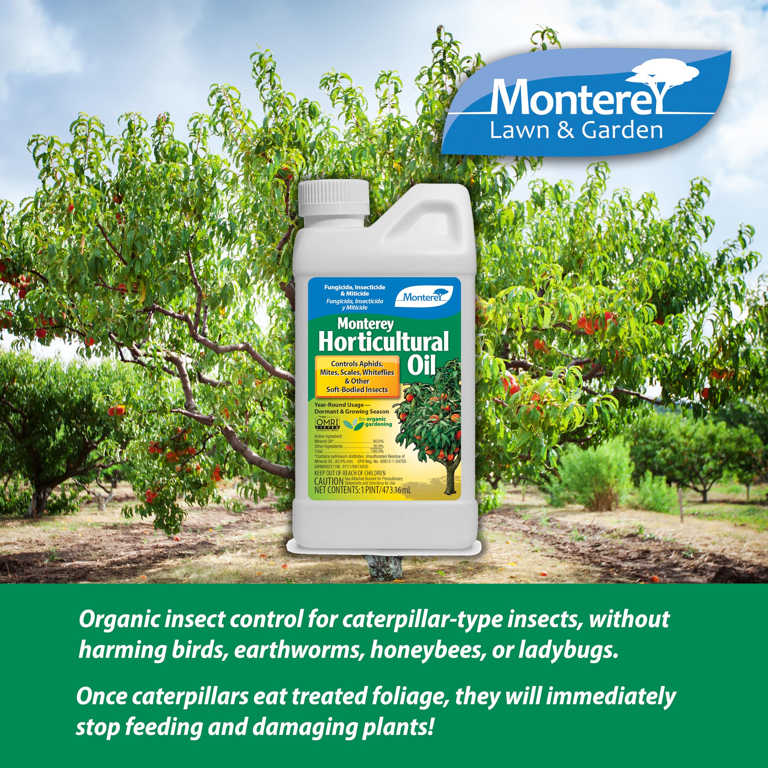 Leaves wet with Monterey Horticultural Oil after spraying.