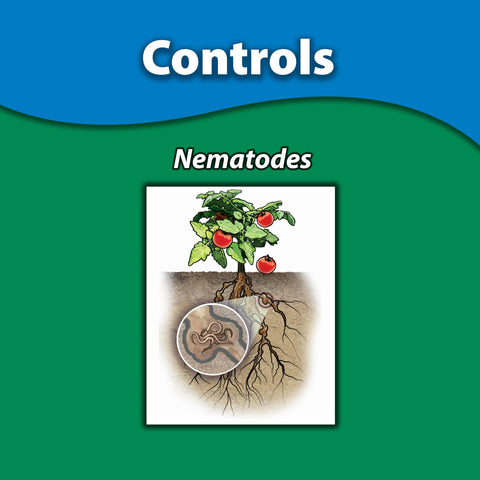 Sprayer-ready concentrate for nematode suppression in lawns.