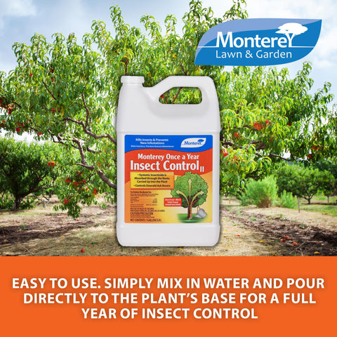 Outdoor trees and shrubs protected by Monterey Once A Year Insect Control II