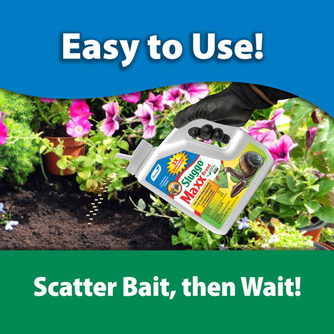 Evening application of Sluggo Maxx for best pest control