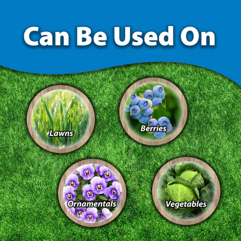 Monterey Sluggo Plus kills slugs and snails while protecting vegetables
