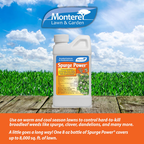 Monterey Spurge Power bottle front view showing branded packaging for weed control.