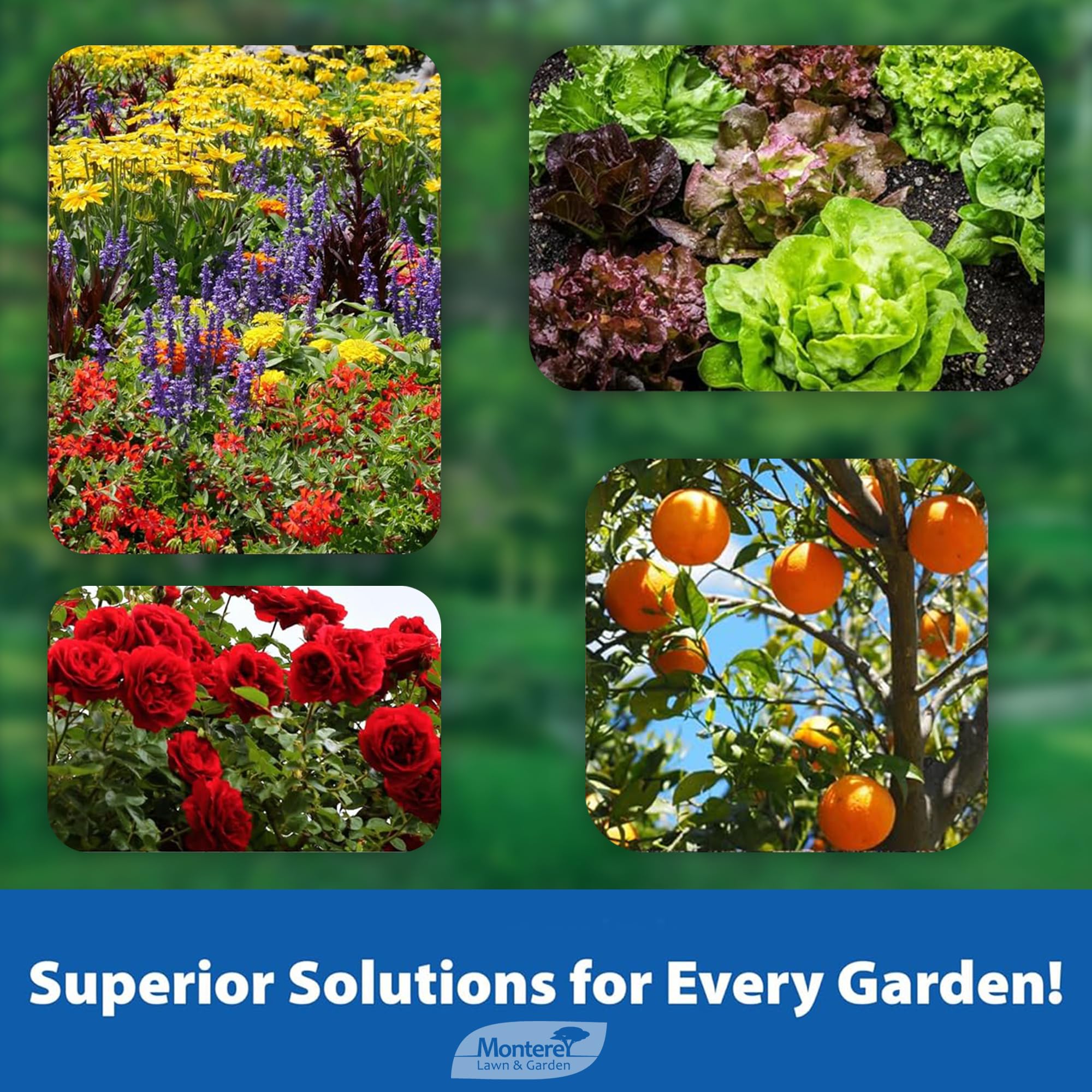 Measuring spoon included with Monterey Spurge Power for precise dosing on lawns.
