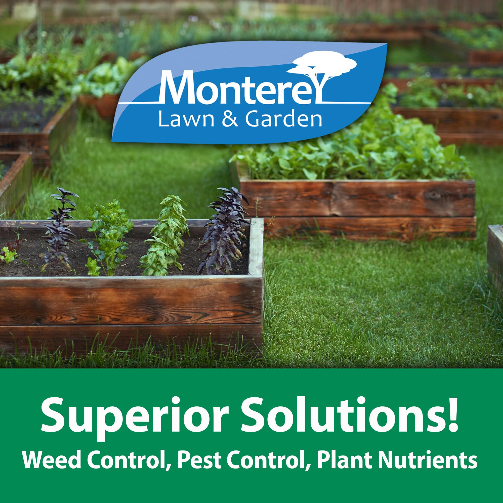 Monterey Spurge Power targets common lawn weeds effectively.