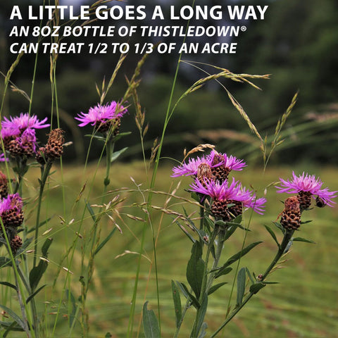 Monterey Thistledown bottle label close-up highlighting thistle and broadleaf targets.