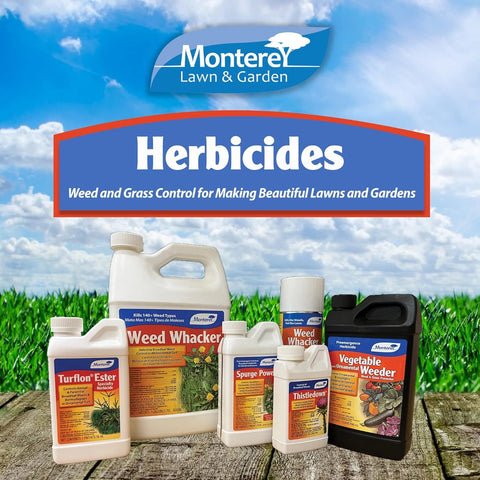 Monterey Turflon Ester bottle ready for lawn application.
