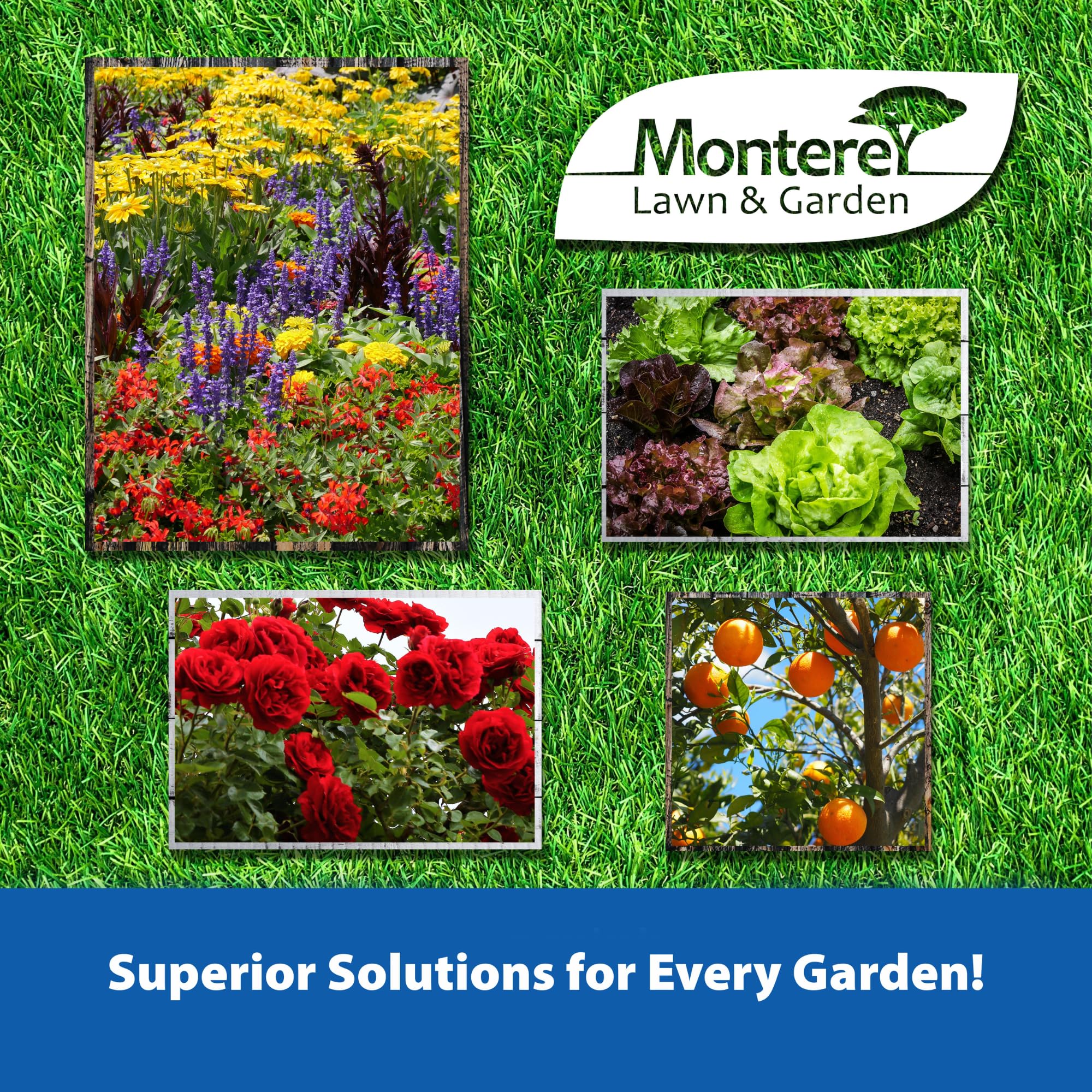 Monterey weed seed prevention supports thriving vegetable and flowering plants.
