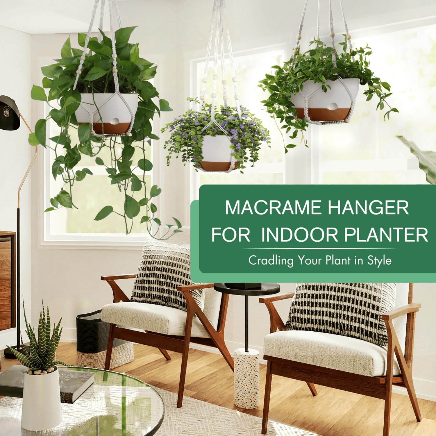 Montresor 10-inch hanging planter with removable saucer for easy maintenance