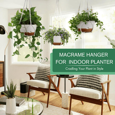 Montresor 10-inch hanging planter with removable saucer for easy maintenance