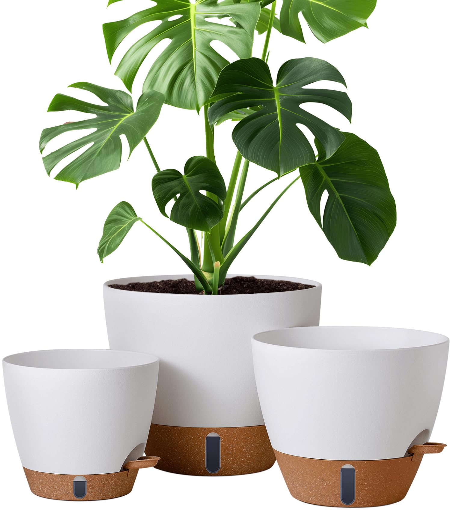 Montresor 12-inch self-watering pot with water window for easy moisture monitoring.