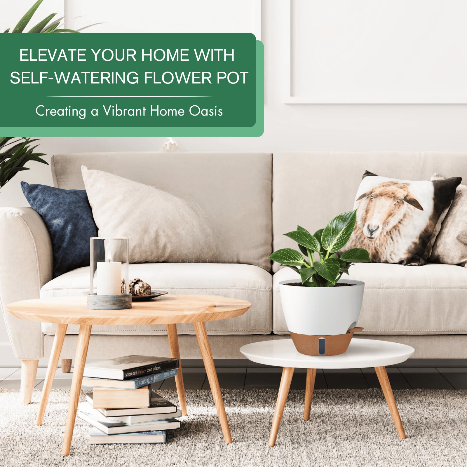 Montresor pot base tray shows leak-proof stability and spill protection.