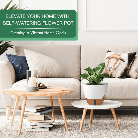 Montresor pot base tray shows leak-proof stability and spill protection.