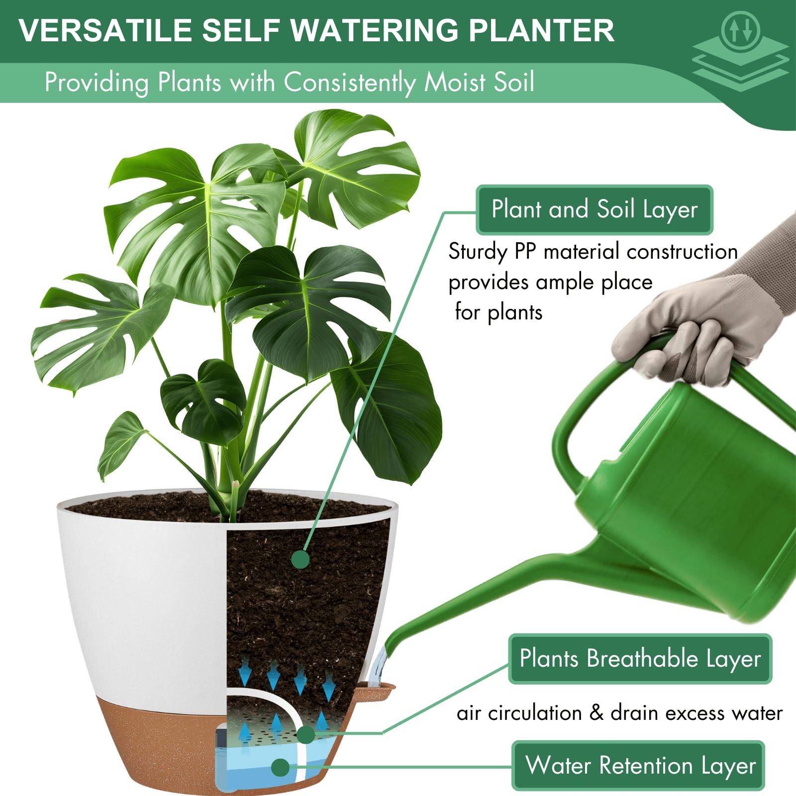 Montresor 10-inch pot ideal for snake plants or pothos.