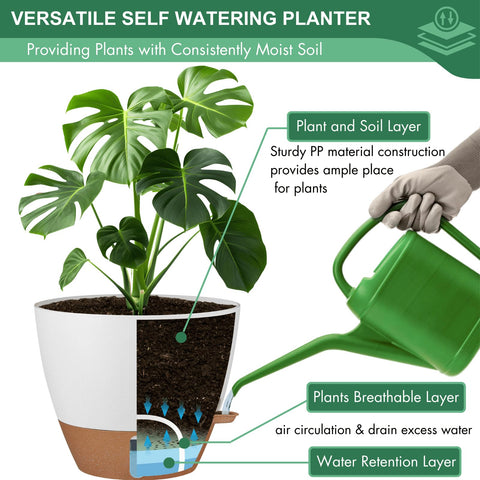 Montresor 10-inch pot ideal for snake plants or pothos.