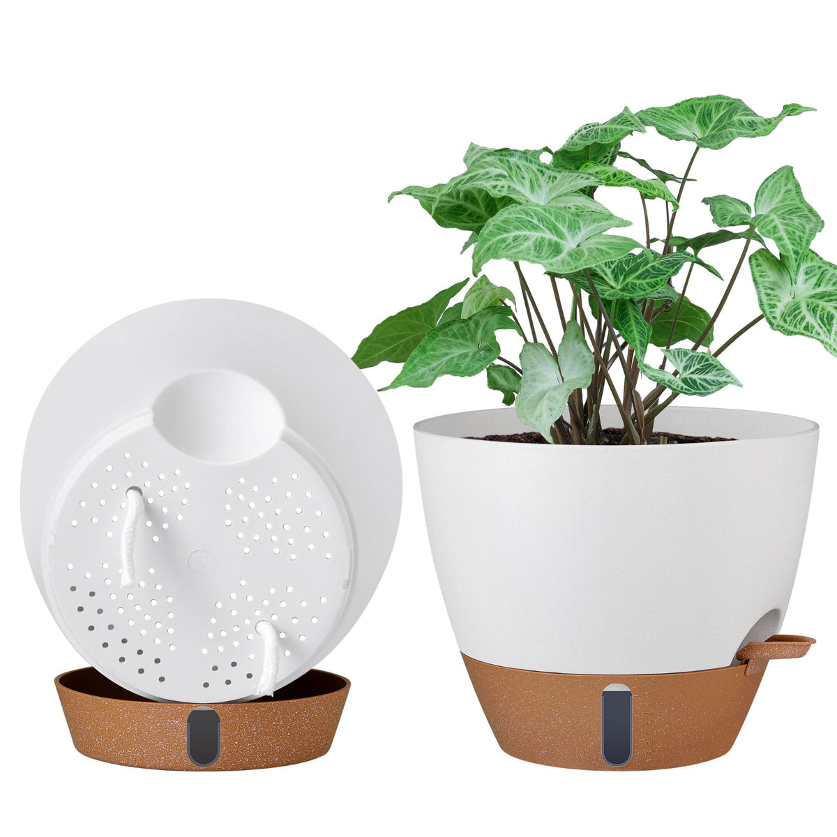 Montresor 10-inch self-watering pot with water level window for easy monitoring.