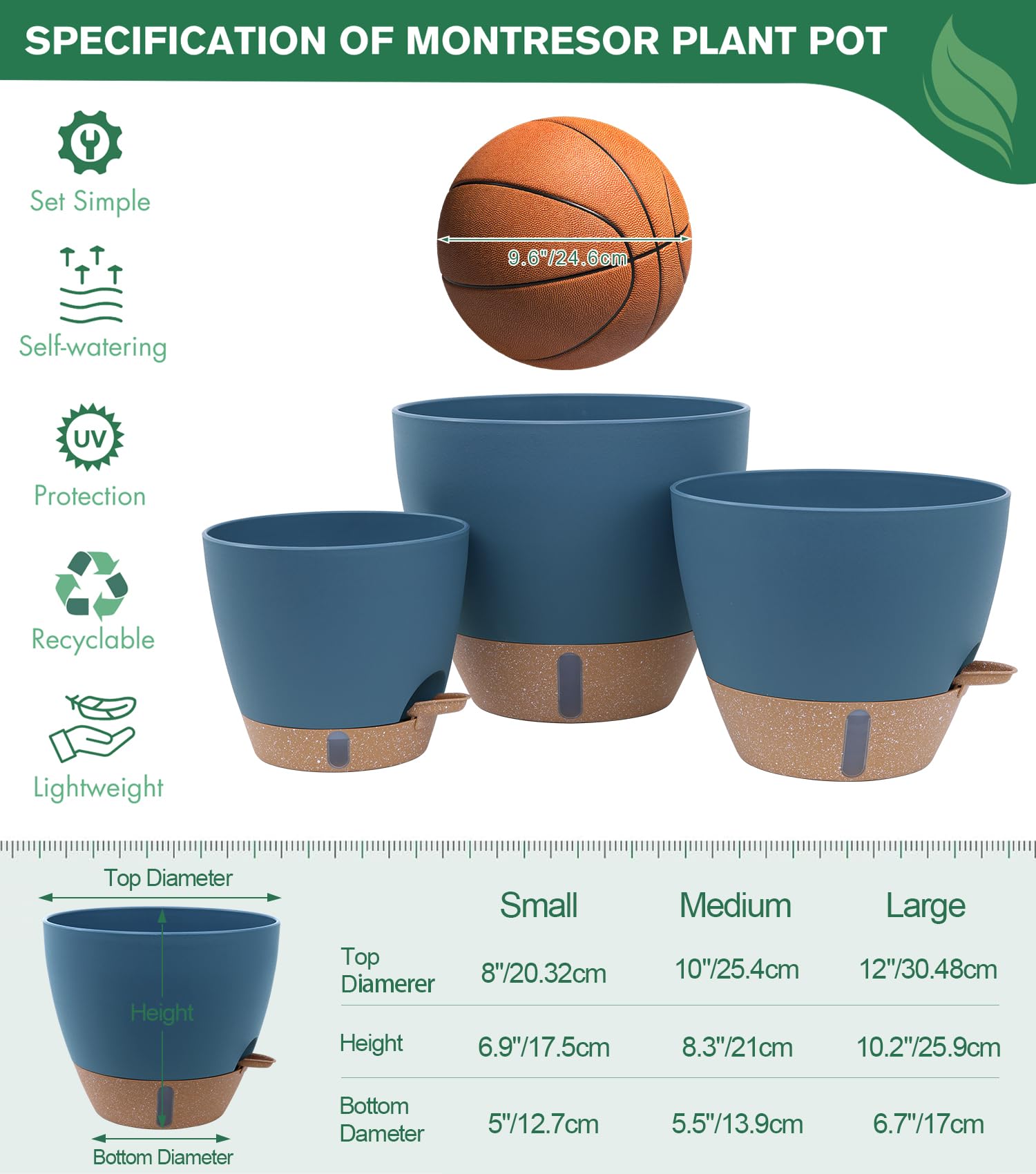 Montresor 8-inch pot supports kitchen herbs like basil.