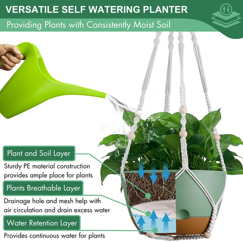 Montresor bohemian-style hanger elevates indoor plant displays
