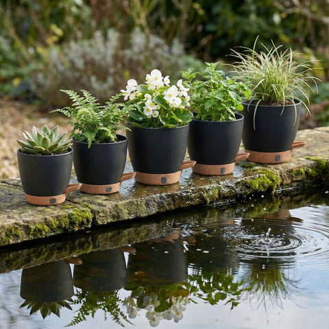 Bottom-fill reservoir with hidden wick simplifies watering