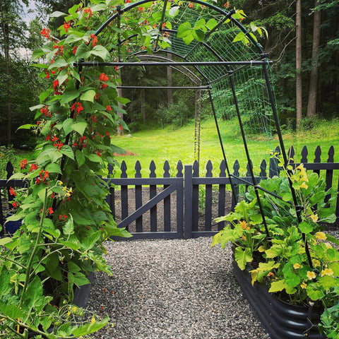 Ideal for tomatoes, pumpkins, grapes, cucumbers, and other climbers