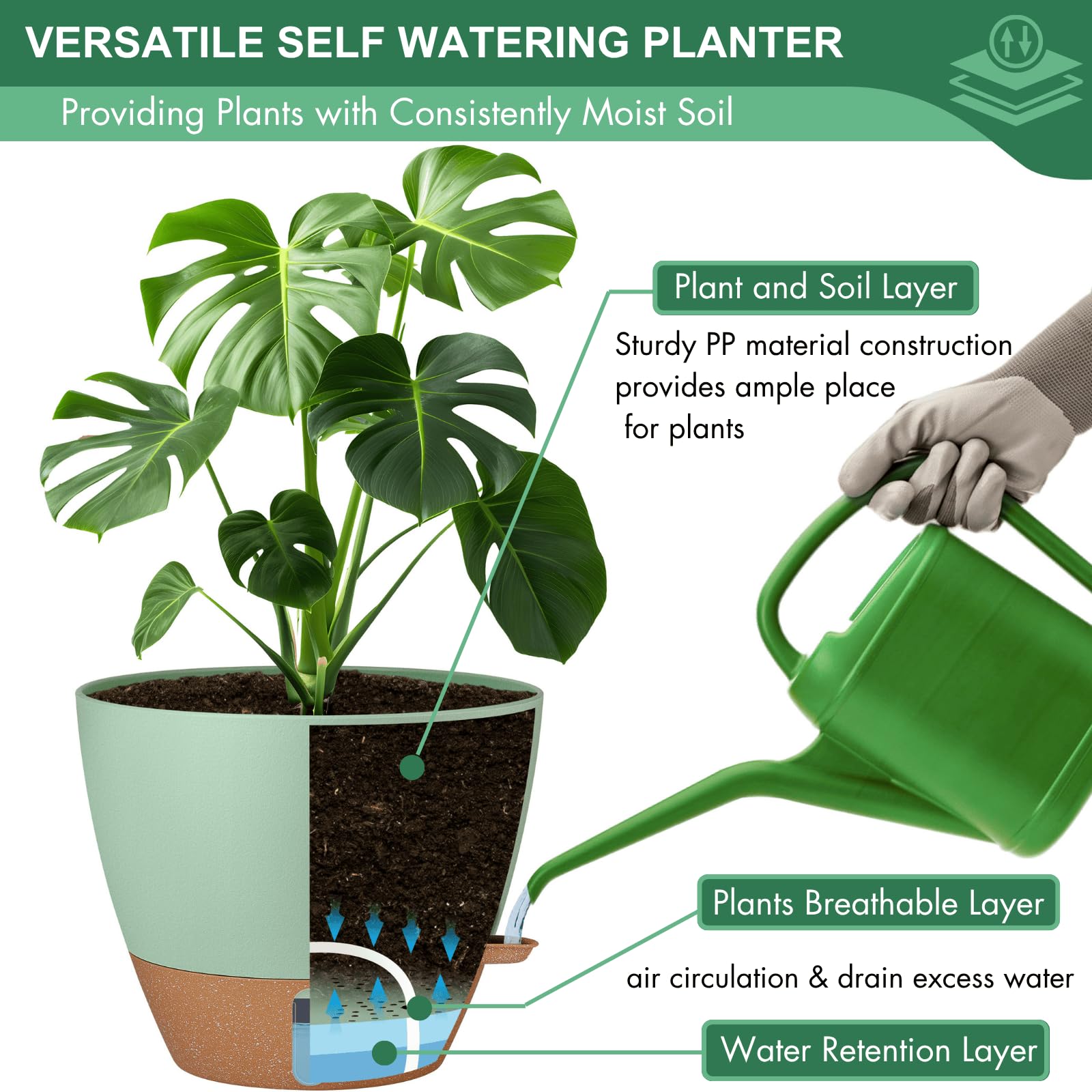 Montresor cotton wick self-watering system for effortless plant care.