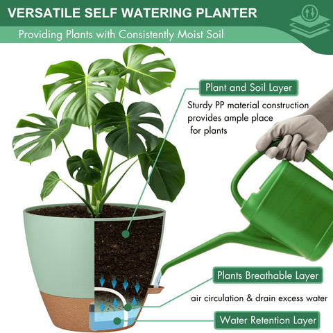 Montresor cotton wick self-watering system for effortless plant care.