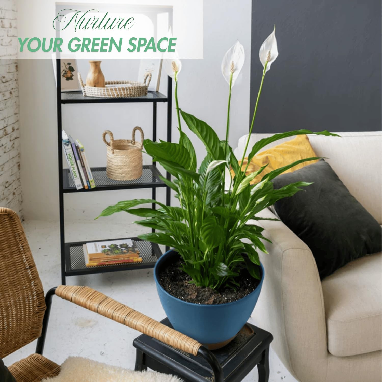 Montresor detachable reservoir pot demonstrates spill-proof design and easy refills.