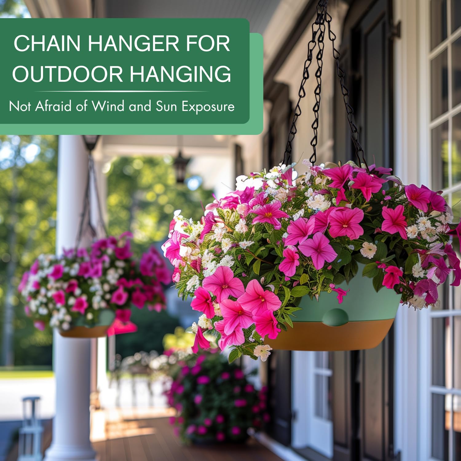 Montresor hanging planter with removable saucer for drip-free watering.