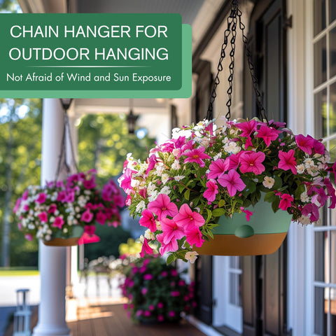 Montresor hanging planter with removable saucer for drip-free watering.