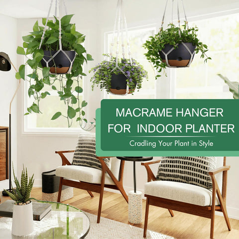 Montresor hanging planter with removable saucer for mess-free watering indoors.