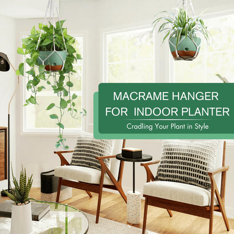 Montresor hanging planter ventilation and drainage close-up supporting root airflow