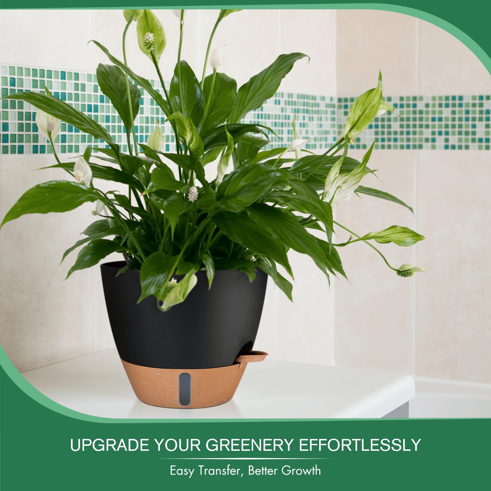 Montresor ideal for snake plants, pothos, and kitchen herbs.