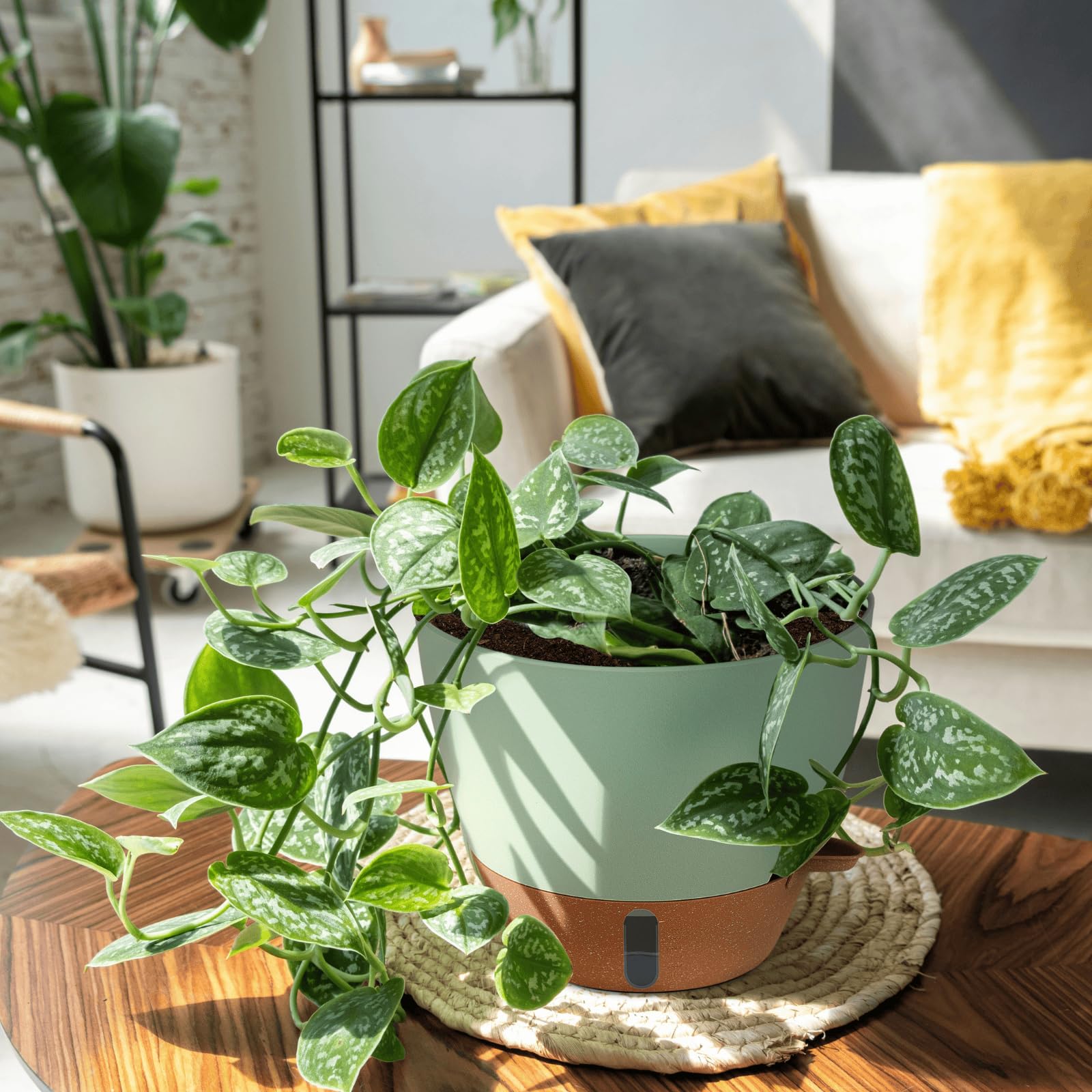 Montresor indoor-outdoor planter suitable for various living spaces.