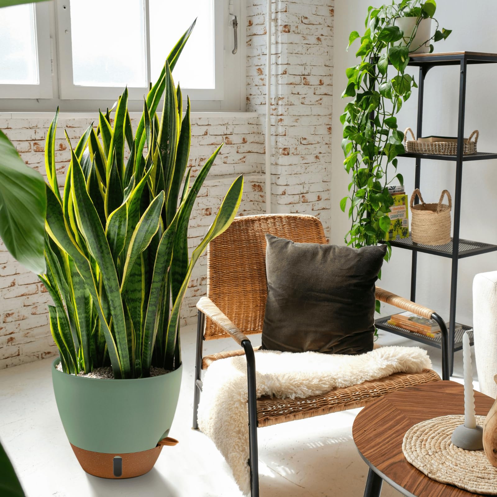 Montresor minimalist neutral design planter that blends with any decor.