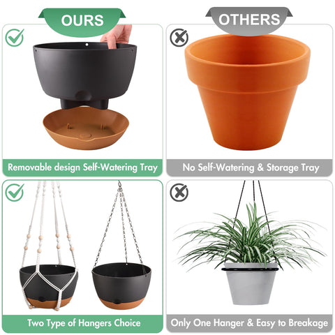 Montresor 10-inch hanging planter for versatile plant displays.