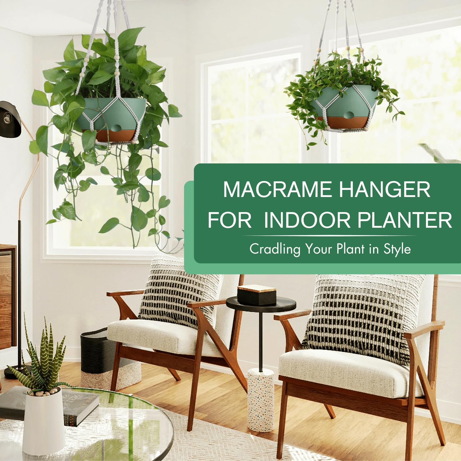 Montresor removable saucer under hanging planter maintains reservoir