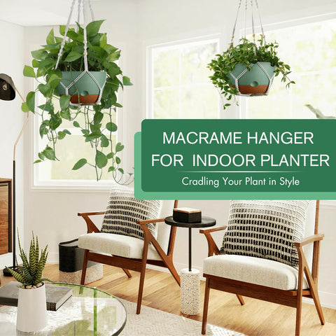 Montresor removable saucer under hanging planter maintains reservoir