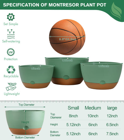 Montresor 12-inch self-watering planter with breathable drainage for healthy roots.