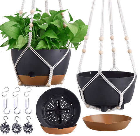 Montresor self-watering hanging pots maintain hydration during busy days.
