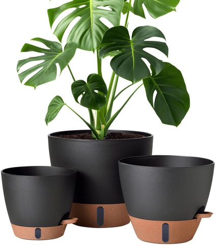 Montresor self-watering pot with water window shows moisture for 8-inch plants.