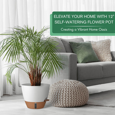 Montresor self-watering pot showing smart drainage and tray protection.