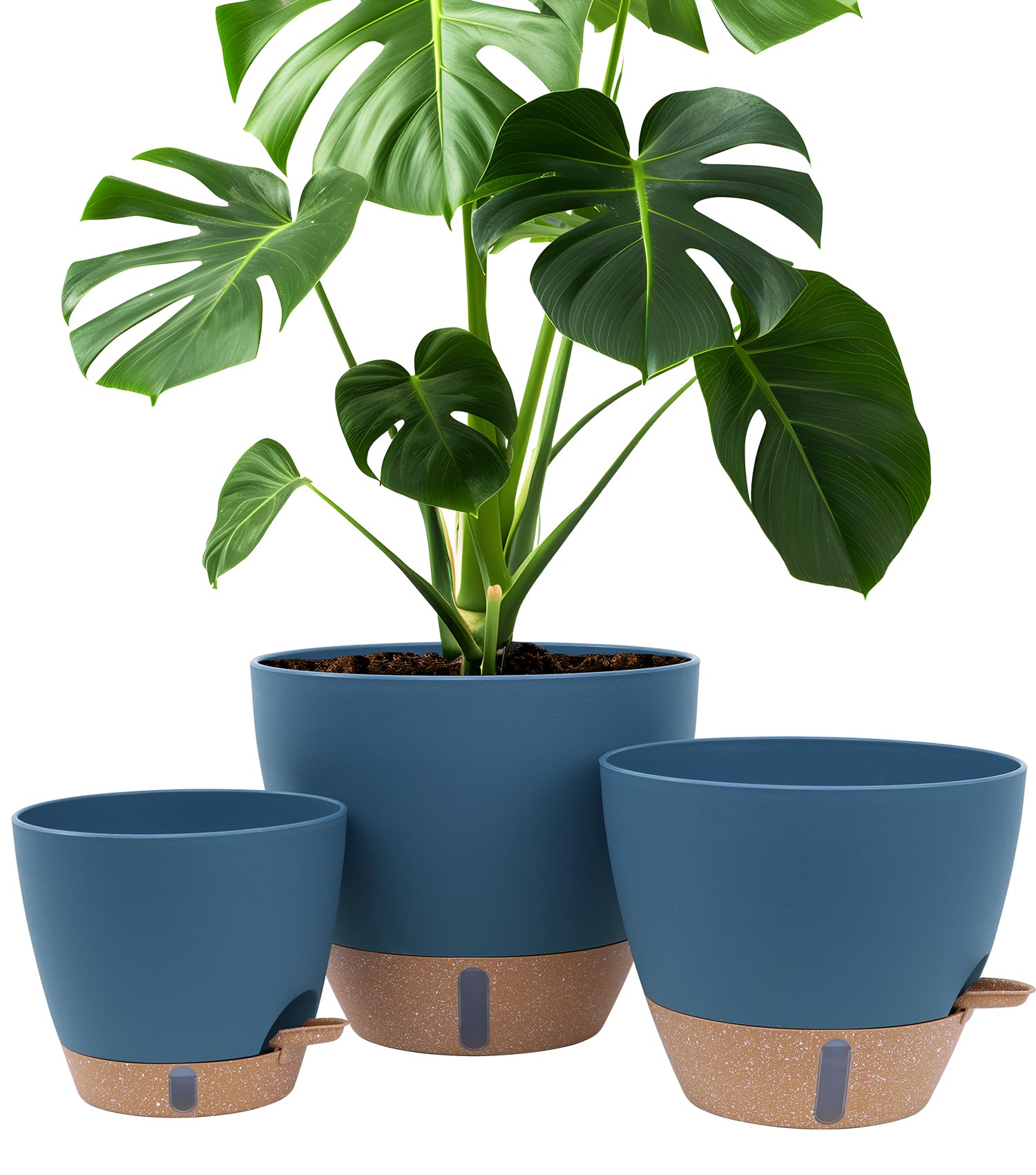 Montresor self-watering pot with water window for easy moisture monitoring.