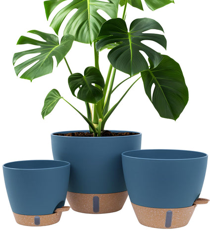 Montresor self-watering pot with water window for easy moisture monitoring.