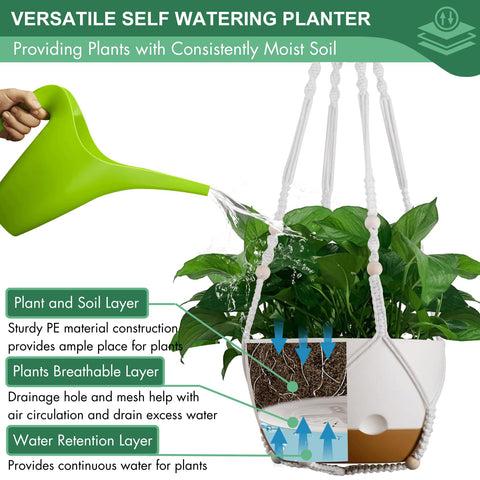 Montresor two-pack 8-inch hanging flower baskets for versatile displays.
