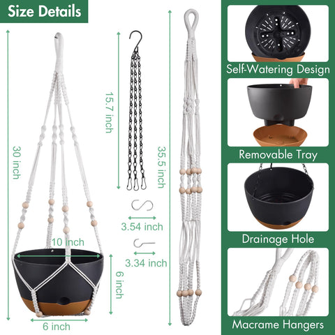 Montresor ventilated mesh base enhances plant aeration